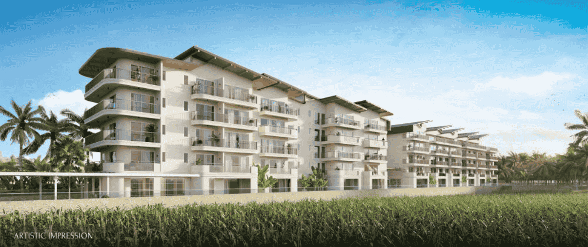 Vista Arrozal Conscient