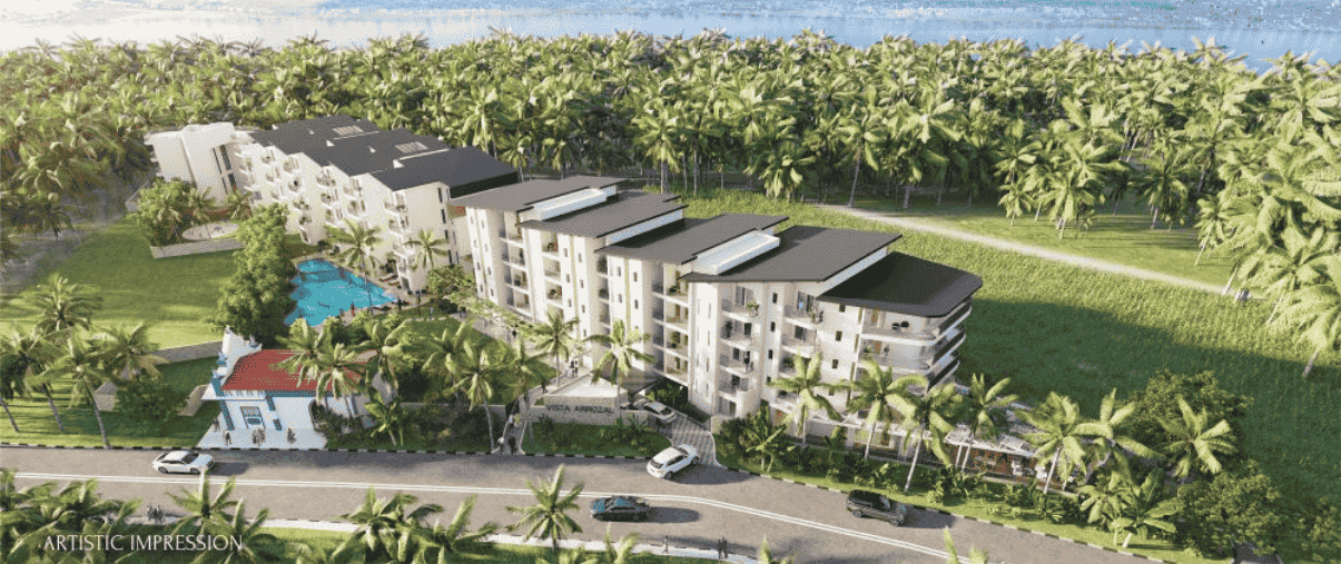 Vista Arrozal Conscient