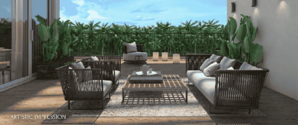 Vista Arrozal Conscient