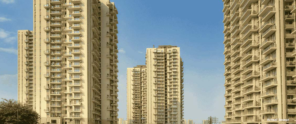 Heritage Max Conscient